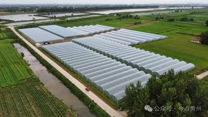 強縣工程看黃州丨黃州區:大力發展現代農業 推進農業產業現代化