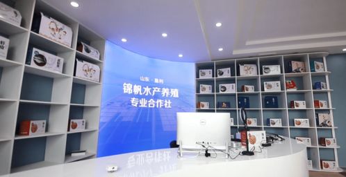 競賽比武 走進(jìn)全市基層黨建觀摩①農(nóng)村領(lǐng)域觀摩點(diǎn)